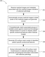 Systems and methods for automated segmentation of patient specific anatomies for pathology specific measurements