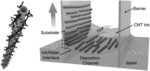 Two-dimensional carbon nanotube liquid crystal films for wafer-scale electronics