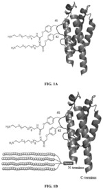 Modified IL-2 polypeptides and uses thereof