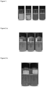 AVENANTHRAMIDE COMPOSITIONS WITH IMPROVED SOLUBILITY COMPRISING 4-HYDROXYPHENONE