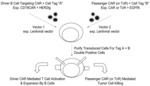 BISPECIFIC CAR T-CELLS FOR SOLID TUMOR TARGETING