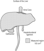 METHODS OF IMPLANTING ENGINEERED TISSUE CONSTRUCTS