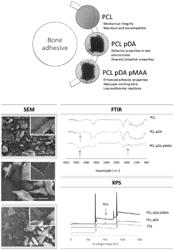 Injectable and expandable composition, devices, kits, methods and uses thereof