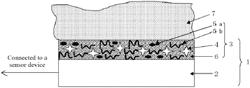 Bio-electrode composition, bio-electrode, and method for manufacturing bio-electrode