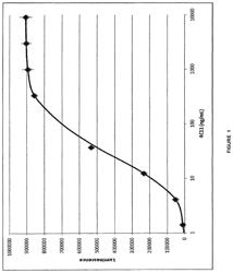 Anti-netrin-1 antibody