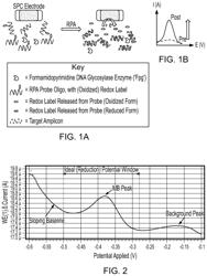 Redox labeled oligonucleotide probes and their use