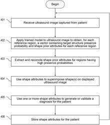 AUTOMATICALLY DETECTING AND QUANTIFYING ANATOMICAL STRUCTURES IN AN ULTRASOUND IMAGE USING A CUSTOMIZED SHAPE PRIOR