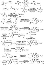 CONJUGATE OF A TUBULYSIN ANALOG WITH BRANCHED LINKERS