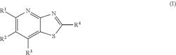 SUBSTITUTED THIAZOLOPYRIDINES, SALTS THEREOF AND THEIR USE AS HERBICIDALLY ACTIVE SUBSTANCES