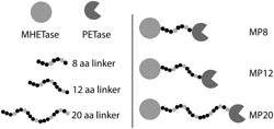 PLASTIC DEGRADING FUSION PROTEINS AND METHODS OF USING THE SAME