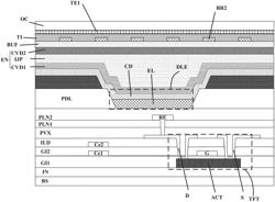 DISPLAY PANEL AND DISPLAY APPARATUS