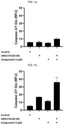 Combination therapy involving diaryl macrocyclic compounds