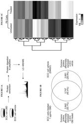 Methods of treating ovarian cancer with hemp extract