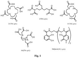Rod-shaped plant virus nanoparticles as imaging agent platforms
