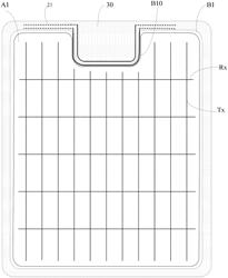 Touch display screen and display apparatus