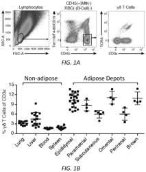 Targeting gamma-delta T Cells in Obesity and Cachexia