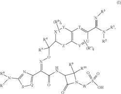 CHROMANE AMIDINE MONOBACTAM COMPOUNDS FOR THE TREATMENT OF BACTERIAL INFECTIONS