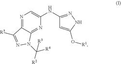 CDK2 INHIBITORS