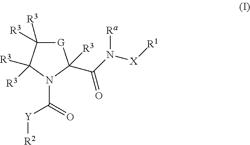 PYRROLOPYRIMIDINE AMINES AS COMPLEMENT INHIBITORS