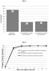 STABLE NANOMAGNETIC PARTICLE DISPERSIONS