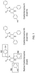 Oplophorus-derived luciferases, novel coelenterazine substrates, and methods of use