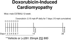 INHIBITORS OF SHORT-CHAIN DEHYDROGENASE ACTIVITY FOR TREATING CORONARY DISORDERS