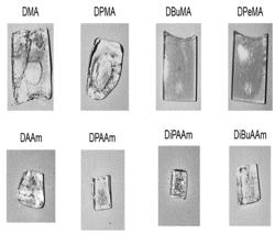 CROSSLINKABLE PREPOLYMERS FOR CHEMICALLY STABLE POLYMER GELS