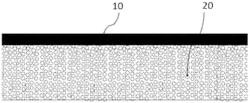 POLYCARBONATE COMPOSITE ARTICLE