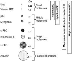 Membrane for blood purification