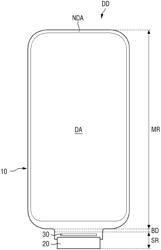 Apparatus for manufacturing display device and method for manufacturing display device