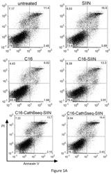 Articles comprising a silk polypeptide for antigen delivery