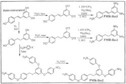 Thermosetting polyimides derived from resveratrol