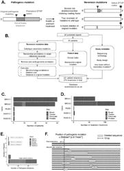 ANTI-CANCER VACCINES AND RELATED THERAPY