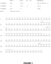 Antibodies Binding to ILT4