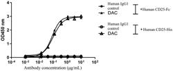 ANTI-CD25 ANTIBODIES, ANTIGEN-BINDING FRAGMENTS THEREOF, AND MEDICAL USES THEREOF