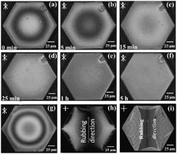 Polymer Stabilized Paraboloid Liquid Crystal Microlenses Array With Integrated Pancharatnam-Berry Phase