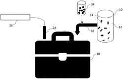 ELECTRIC FIELD DETECTION METHOD AND SYSTEM