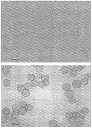 Imageable embolic microsphere