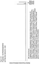 Peptides, combination of peptides, and cell based medicaments for use in immunotherapy against urinary bladder cancer and other cancers