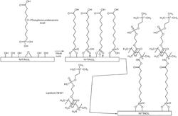 Phosphonates and uses thereof