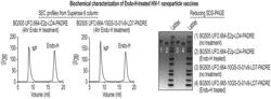 METHODS AND COMPOSITIONS RELATED TO HIV-1 NANOPARTICLE VACCINES WITH IMPROVED PROPERTIES