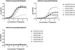 ANTI-CD103 ANTIBODIES