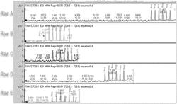 ENGINEERED TERMINAL DEOXYNUCLEOTIDYL TRANSFERASE VARIANTS