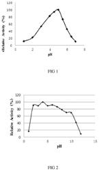 Glucoamylase TLGA15 and gene and application thereof