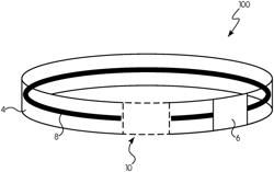 Wearable payments using multiple mounted data elements