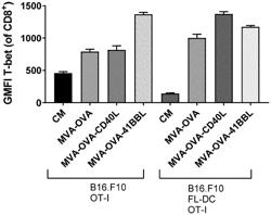 Recombinant MVA Viruses for Intratumoral and/or Intravenous Administration for Treating Cancer