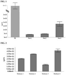 SUSPENSION SYSTEM FOR ADENO ASSOCIATED VIRUS PRODUCTION