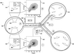 Analysis and sorting in aquaculture