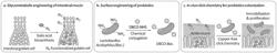 Composition and Kit for colonization in gut of external probiotics through bioorthogonal click chemistry