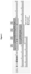 Antibody constructs for CLDN18.2 and CD3